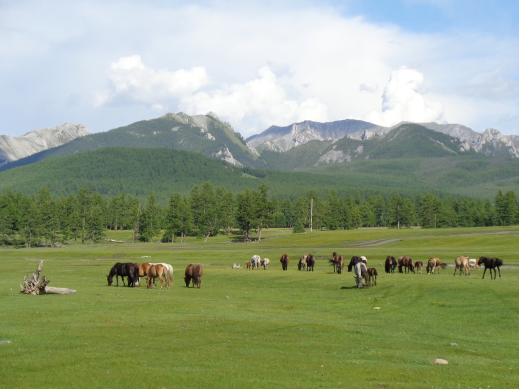 Voyage Initiatique en Mongolie - Chaman et Chamanisme