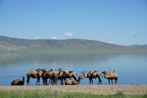 Voyage Initiatique en Mongolie - Chaman et Chamanisme